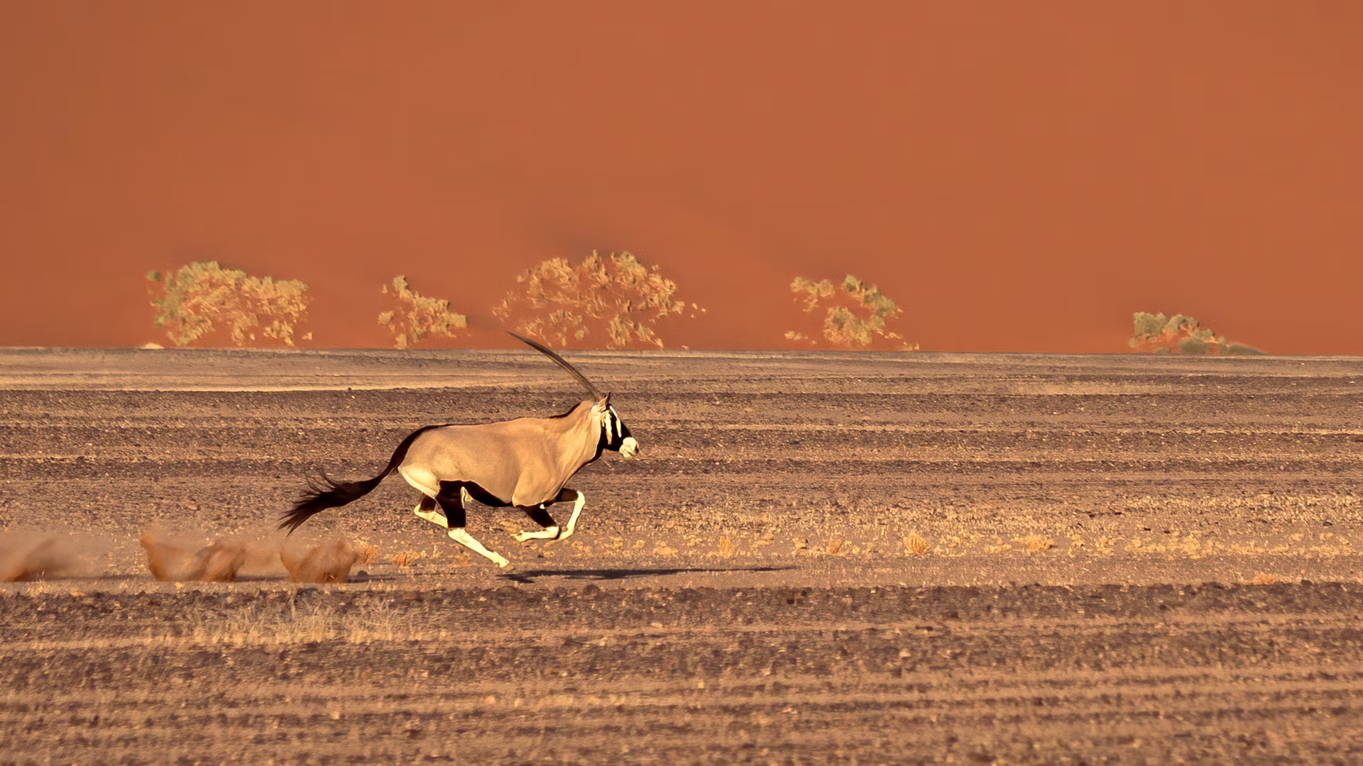 Namibie Authentique