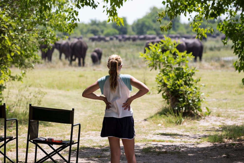 Parc national de Moremi