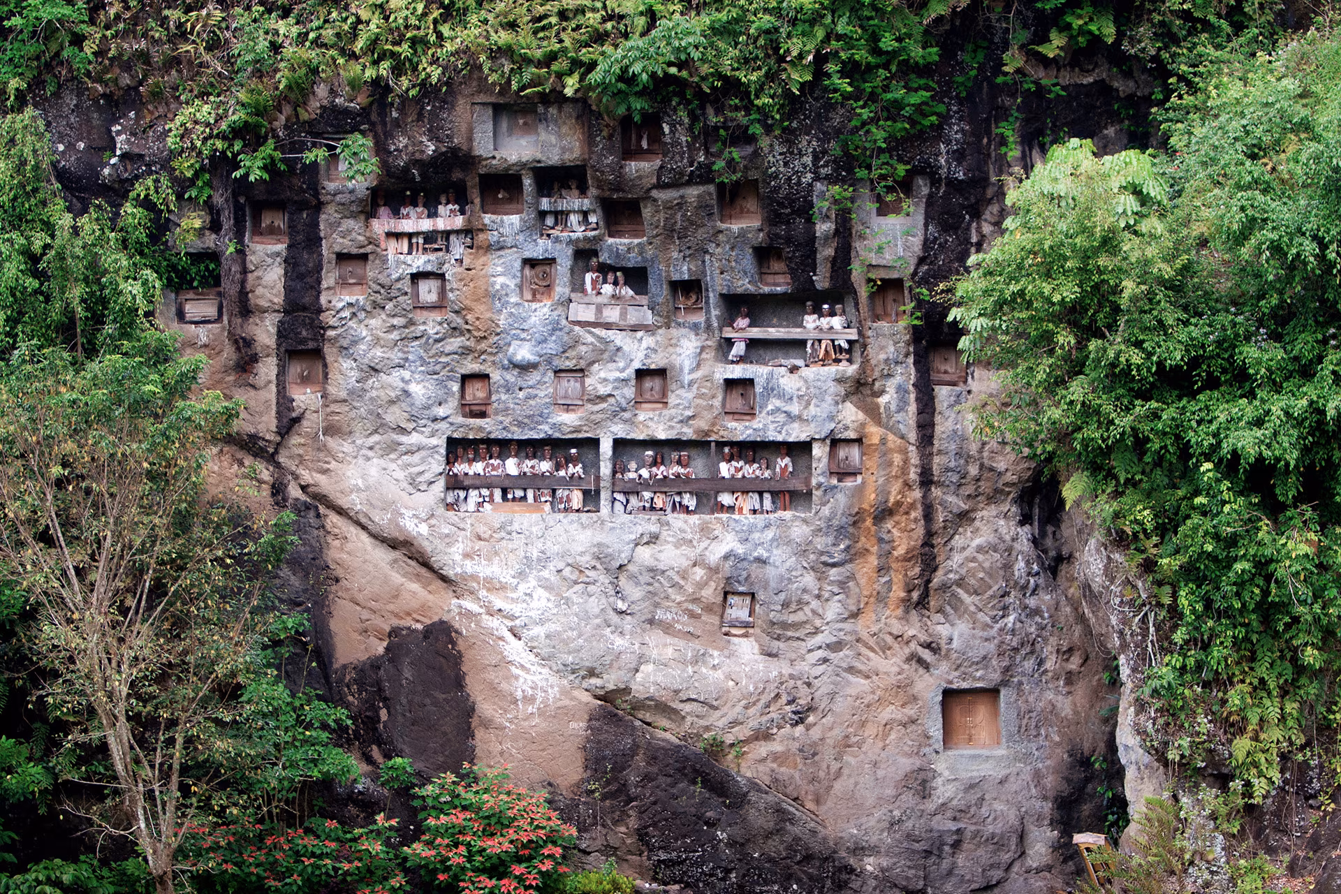 Ritos fúnebres Toraja & vulcões majestosos de Java