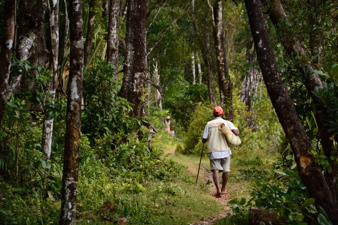 Caminhadas excepcionais no Cabo Masoala