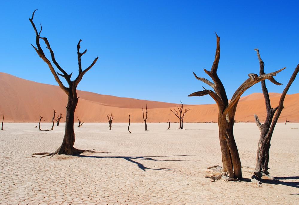 Les plus beaux paysages désertiques et lunaires de Namibie 