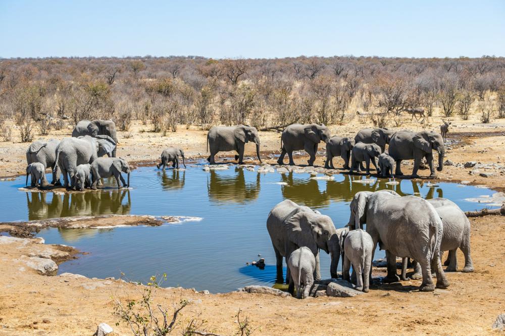 Les plus beaux parc et réserves naturelles de Namibie